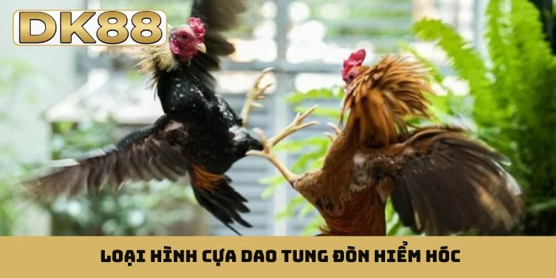 Loại hình cựa dao tung đòn hiểm hóc