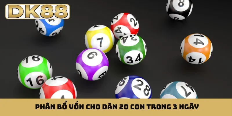 Phân bổ vốn cho dàn 20 con trong 3 ngày
