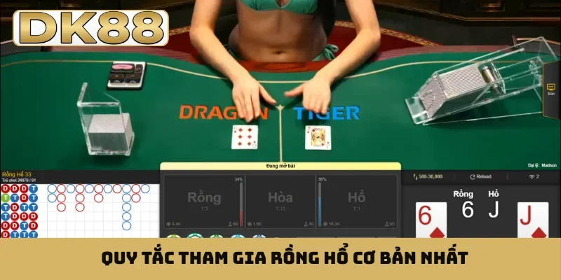 Quy tắc tham gia rồng hổ cơ bản nhất
