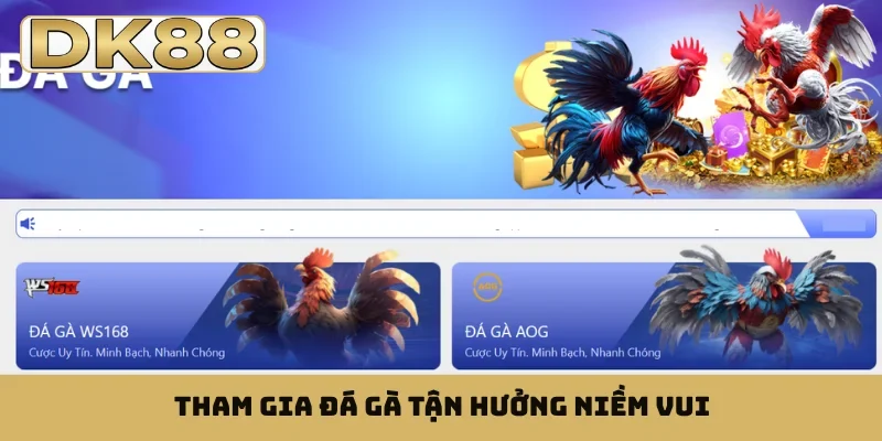 Tham gia đá gà tận hưởng niềm vui