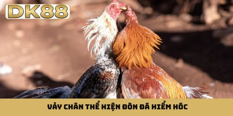 Vảy chân thể hiện đòn đá hiểm hóc